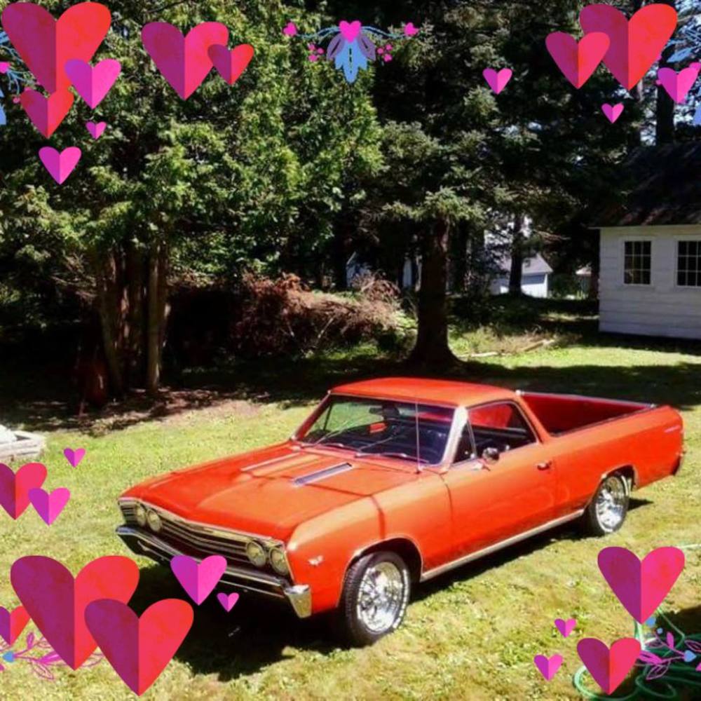 Meet your Posher, Lucille